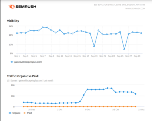 SEMrush report showing graphs